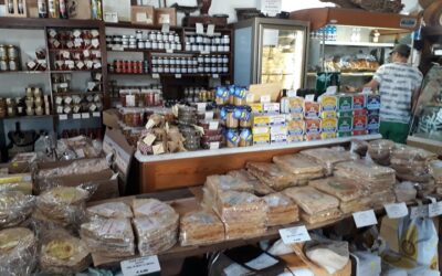 Tutto cotto nel forno a legna: la bottega “Su Civraxiu” di Camisa